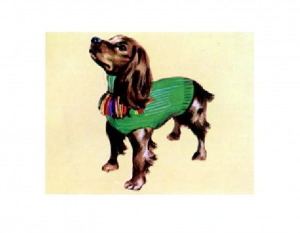 Original Illustration of Dog Sweater with Fringe